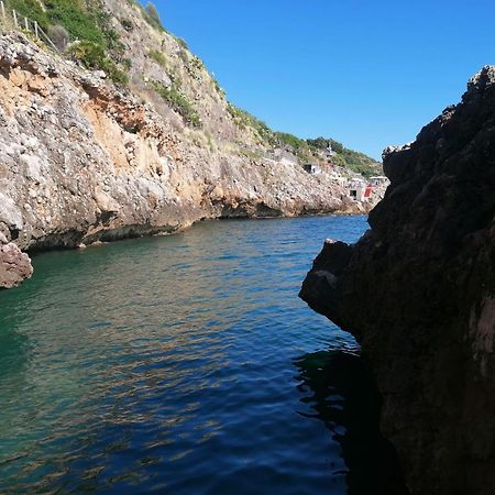 Casa Tequi A 200Mt Dal Mare Villa Terrasini Kültér fotó